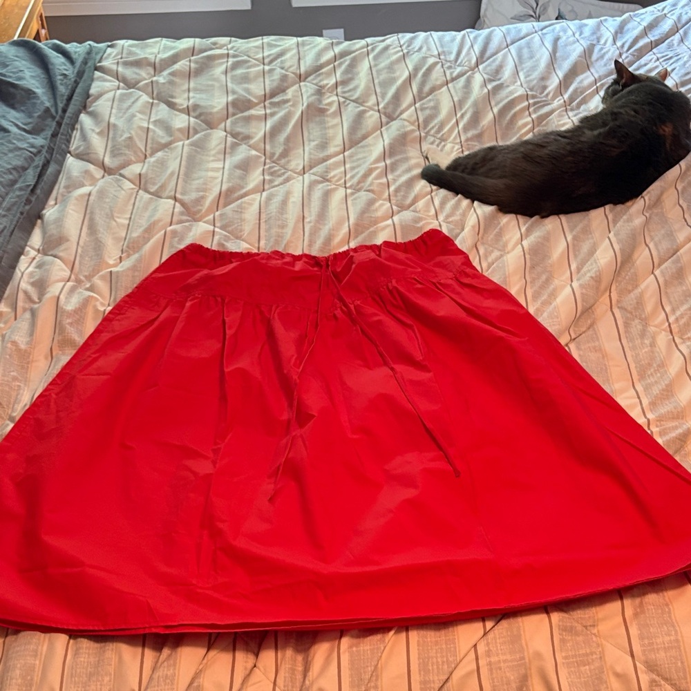 Banana Republic Scarlet A-Line Skirt